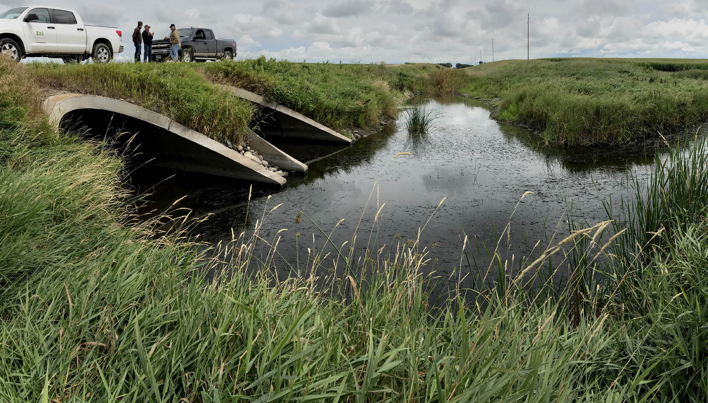 People walk on protected prairie in Minnesota.